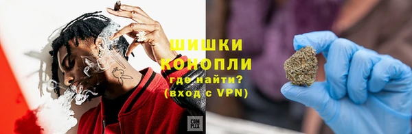 мдпв Бородино