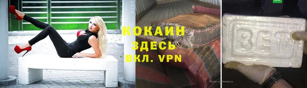 мдпв Бородино