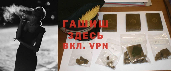 мдпв Бородино