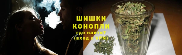 мдпв Бородино