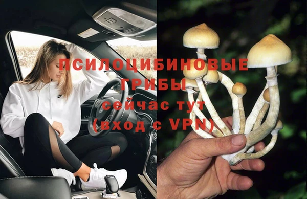 мдпв Бородино