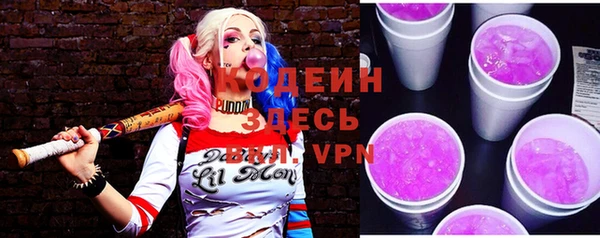 мдпв Бородино