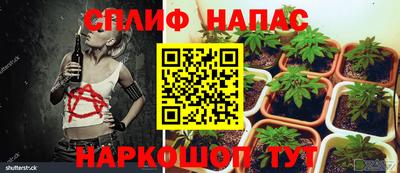 метадон Гусь-Хрустальный