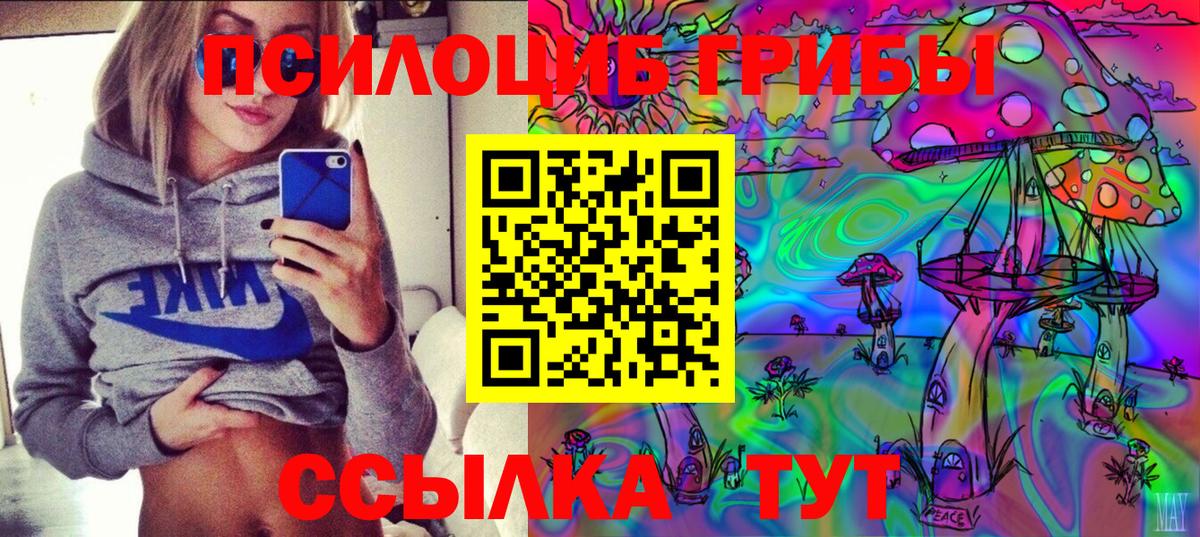 Галлюциногенные грибы Cubensis Бутурлиновка